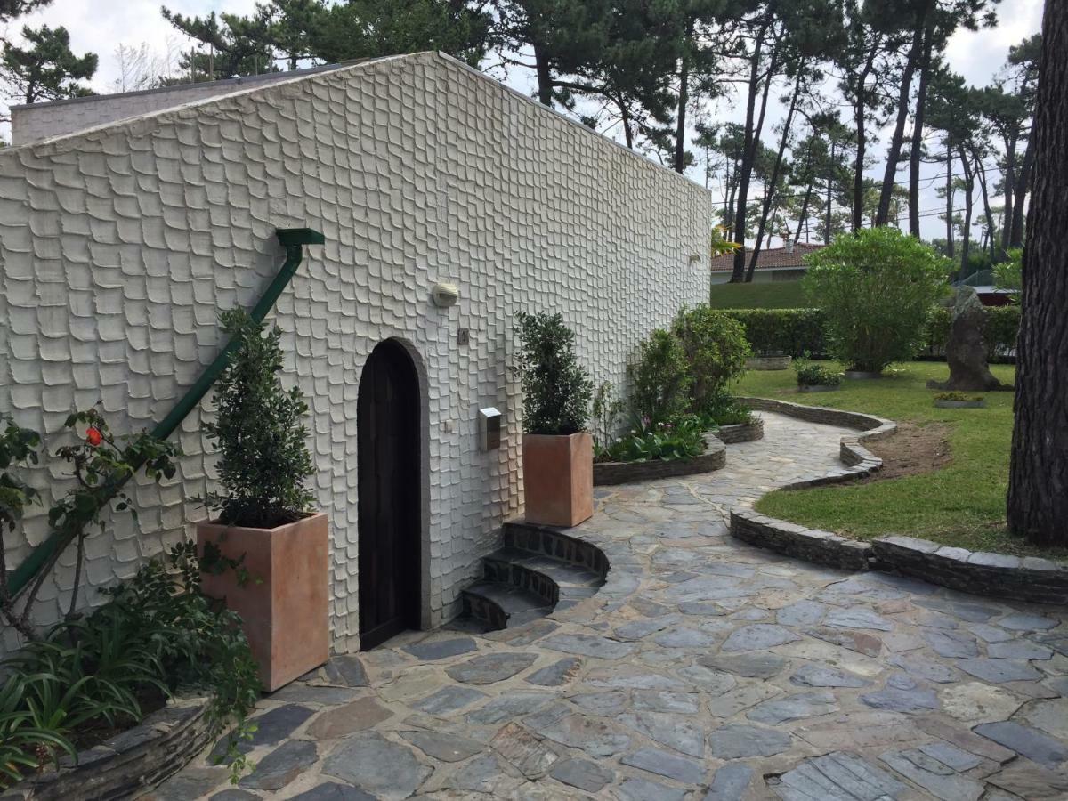 Ofir Beach House Bonança Esposende Exterior foto