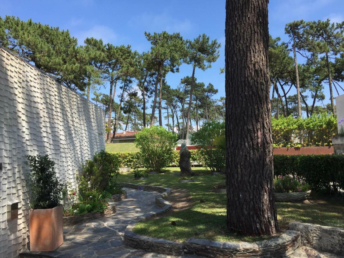 Ofir Beach House Bonança Esposende Exterior foto